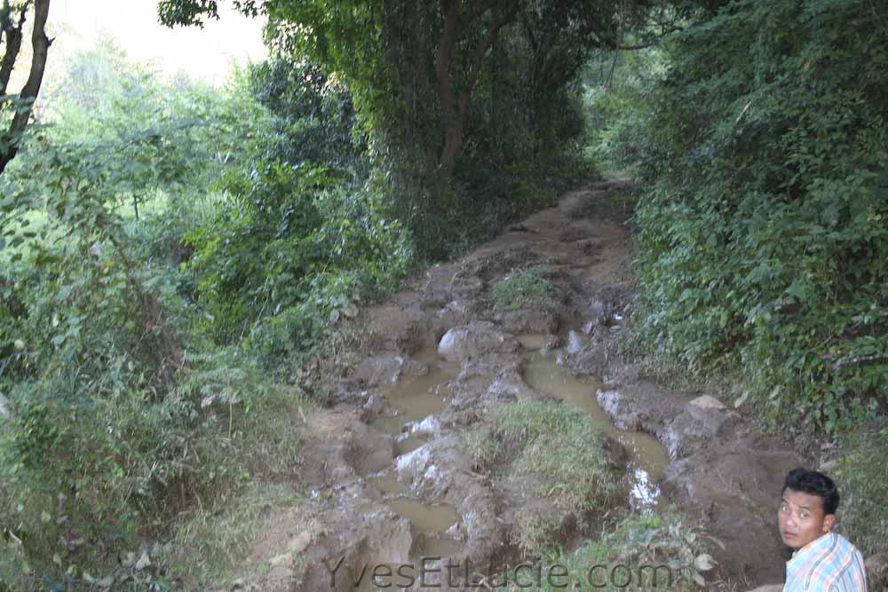 Sentier des éléphants